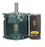 VSD Image