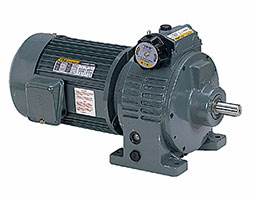 VSD Image